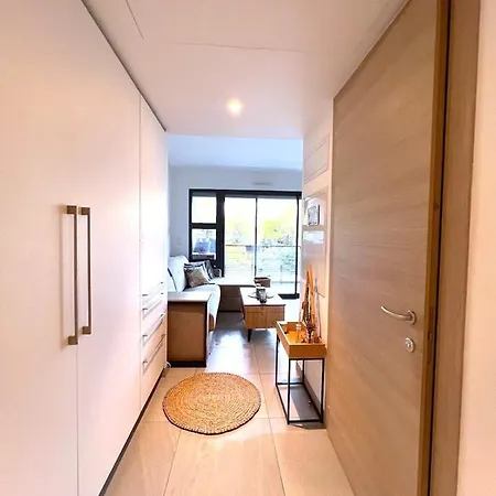 公寓 Avec Terrasse 400m Croisette / Rue D'antibes *