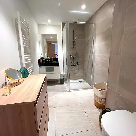 公寓 Avec Terrasse 400m Croisette / Rue D'antibes